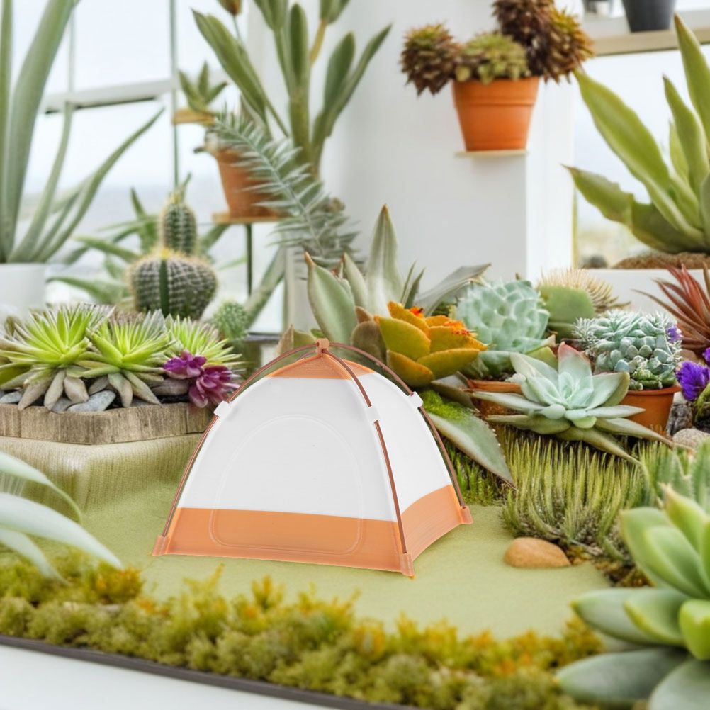 Tente de camping miniature pou - Outdoor Adventure Kids Party avis et prix
